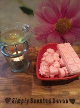 Pink Peony & Blush Suede - - Onze waxmelts zijn geïnspireerd door bekende parfumgeuren - Waxmelts – Geurchips - Wax Melts - Snap Bar – Waxmelts parfum geuren - Reep