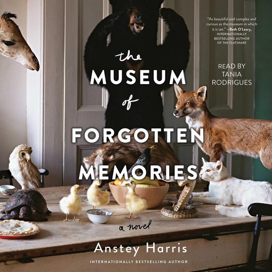 The Museum of Forgotten Memories - cover