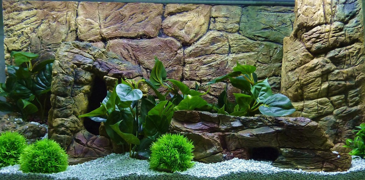 REPTILES PLANET Terrarium Aluminium Elégance 120 x 50 x 50 cm Blanc REPTILES PLANET Terrarium Aluminium Elégance 120 x 50 x 50 cm Blanc