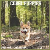 Corgi Puppies 2021 Wall Calendar