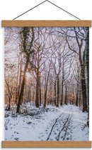 Schoolplaat – Bos in de Sneeuw met Zon - 30x40cm Foto op Textielposter (Wanddecoratie op Schoolplaat)