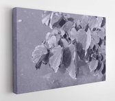 Onlinecanvas - Schilderij - Tropical Leaves Background Art Horizontal Horizontal - Multicolor - 40 X 50 Cm