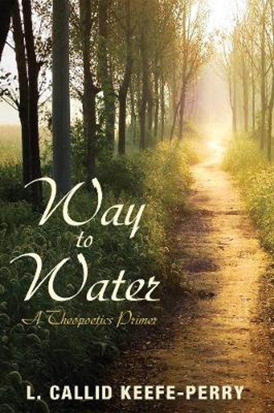 Couverture de livre avec un sentier paysager menant au soleil, avec le texte 'Way to Water'.