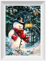 Artstudioclub® Diamond painting volwassenen 30x40cm volledige bedekking