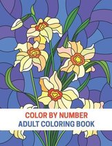 Color By Number Adult Coloring Book