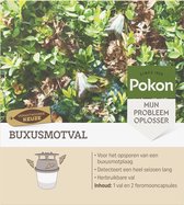 Pokon Buxusmotval - Pour détecter une infestation de pyrale du buis
