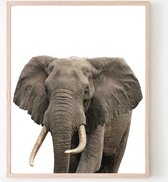 Poster Jungle / Safari Olifant - 40x30cm - Baby / Kinderkamer - Dieren Poster - Muurdecoratie