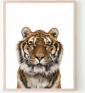 Poster Jungle / Safari Tijger  - 80x60cm - Baby / Kinderkamer - Dieren Poster - Muurdecoratie