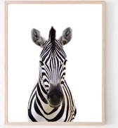 Poster Jungle / Safari Zebra - 40x30cm - Baby / Kinderkamer - Dieren Poster - Muurdecoratie