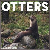 Otters Calendar 2021