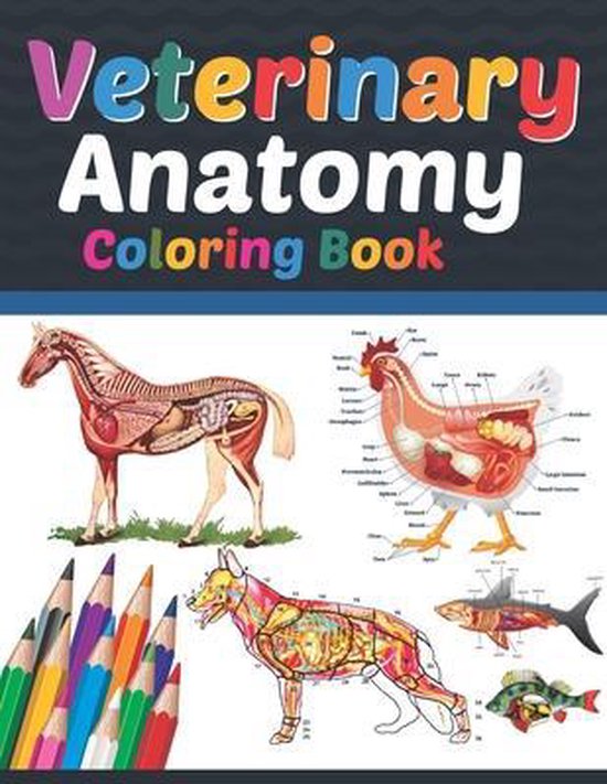 Veterinary Anatomy Coloring Book - cover