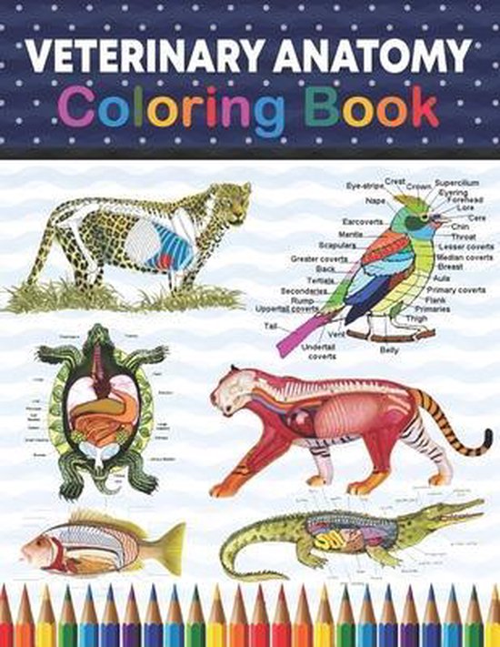 Veterinary Anatomy Coloring Book 9798704995944 Sreijeylone