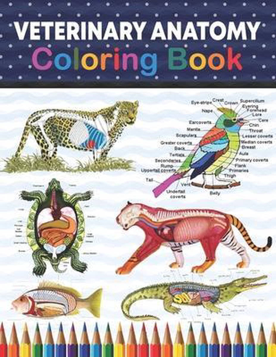bol.com | Veterinary Anatomy Coloring Book | 9798704995944