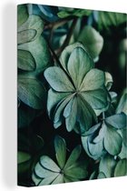 Feuille d'hortensia vert sur toile 2cm 90x120 cm - Tirage photo sur toile (Décoration murale salon / chambre) / Peintures Fleurs sur toile