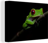 Red Eyed Tree Frog sur toile fond noir 2cm 40x30 cm - petit - impression photo sur toile peinture (Décoration murale salon / chambre à coucher) / Animaux sauvages Peintures Toile