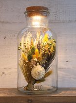 Droogbloemen Boeket in Glas met LED Verlichting in Kurk - Decoratieve Fles/Vaas - Thema Groen - Ø14 h.28,5 cm - Gedroogde Bloemen Decoratie