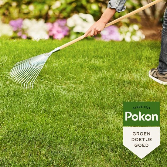 Een persoon hark met een groen gazon, met het Pokon logo met de tekst 'Groen doet je goed'.