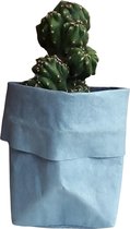 de Zaktus - Monstrose Appelcactus - cactus - paper bag licht blauw - Maat M