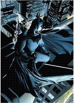SD Toys: DC Comics - Vigilante Batman 1000 stukjes puzzel