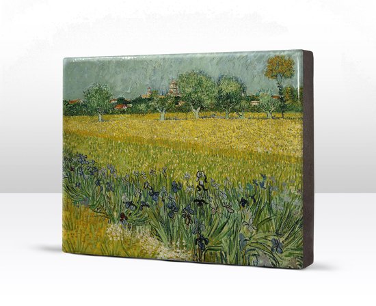 Veld met bloemen bij Arles - Vincent van Gogh - 26 x 19,5 cm - Niet van echt te onderscheiden schilderijtje op hout - Mooier dan een print op canvas - Laqueprint.