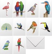 10 blanco wenskaarten vogels - kaartenset met envelop - zonder tekst - dubbelgevouwen kaarten in luxe doosje - A6 formaat - illustraties handgeschilderd door Mies