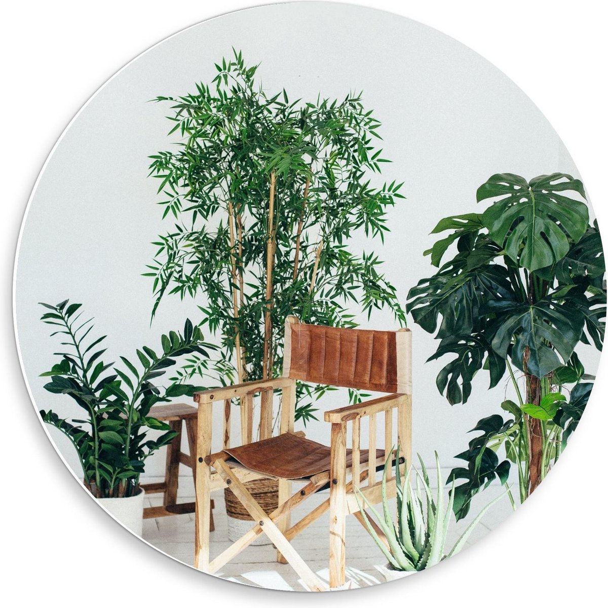 KuijsFotoprint - Schilderij - Tuinstoeltje Tussen Planten - Wit, Groen En Bruin - 50 X 50 
