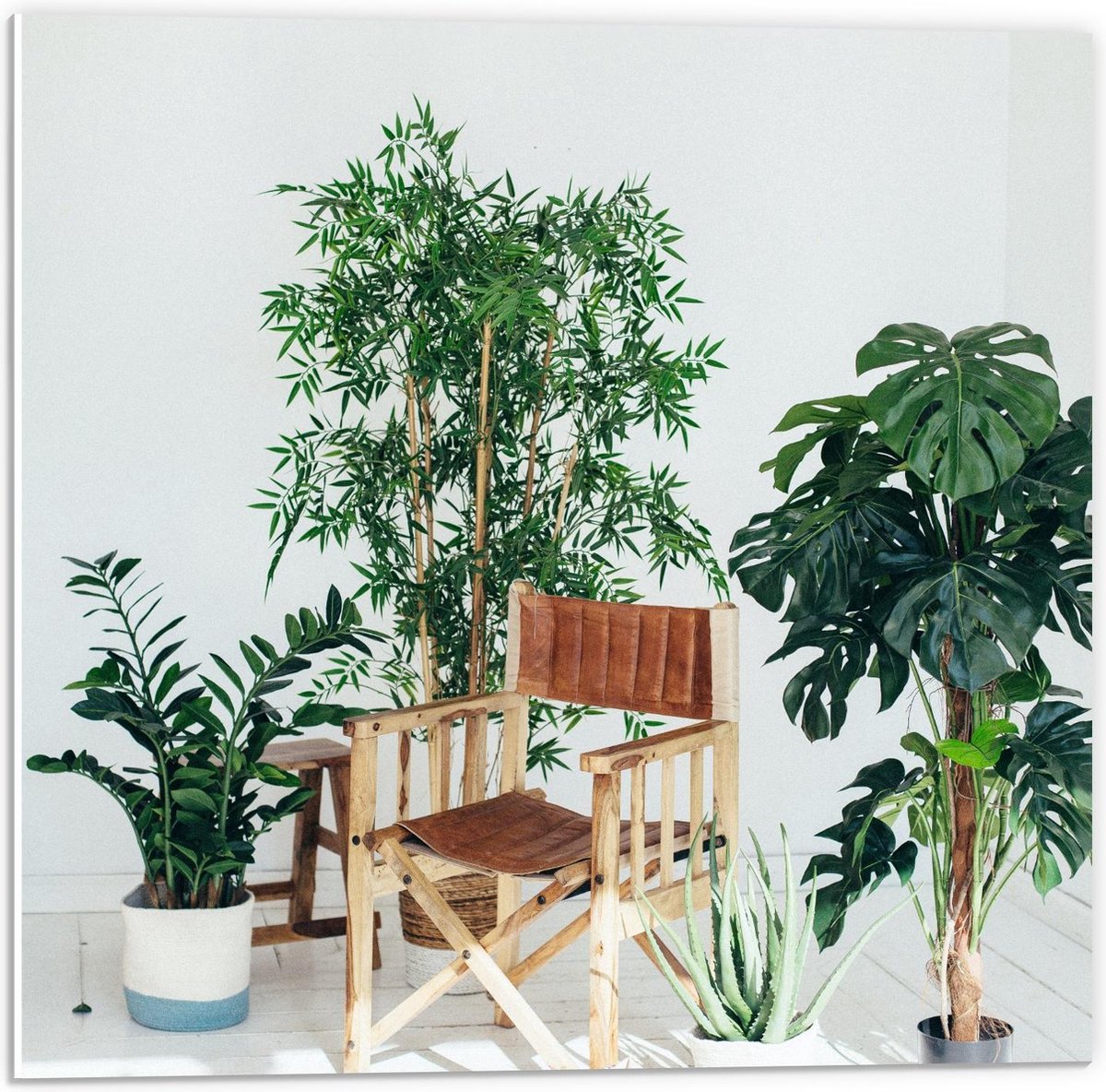 Forex - Tuinstoeltje tussen Planten - 50x50cm Foto op Forex