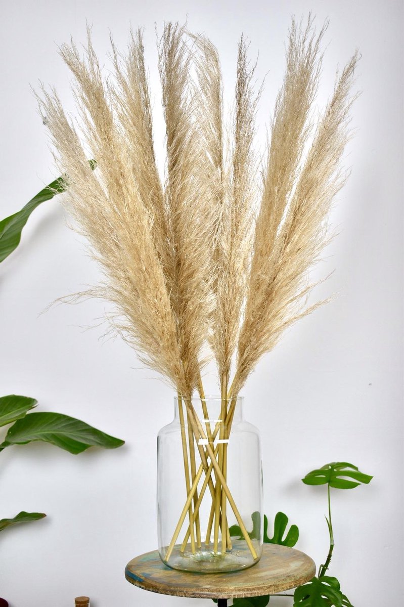 Pampas pluimen - 7 stuks - 90-100cm