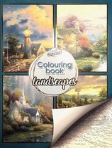 kleurboek landschap met voorbeelden in kleur 40 blz