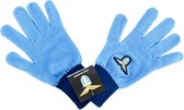 Handschoenen Lazio SS maat S