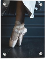 Tuinposter – Ballet Spitzen - 30x40cm Foto op Tuinposter  (wanddecoratie voor buiten en binnen)