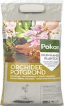Find the perfect Orchidee Potgrond for you