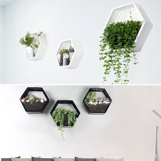 Muur hangpot | Wit | Hexagonaal (zes hoek) | Hydroponics of pot | pot voor  aan de muur | bol.com