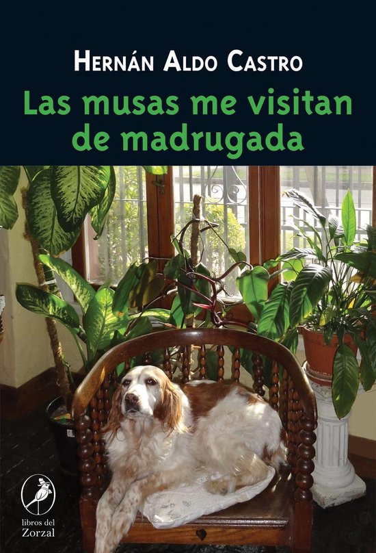 Las musas me visitan de madrugada - cover