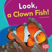 Bumba Books ® — I See Ocean Animals - Look, a Clown Fish!