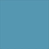 Peinture artisanale Plus Color. turquoise. 60 ml [HOB-39672]
