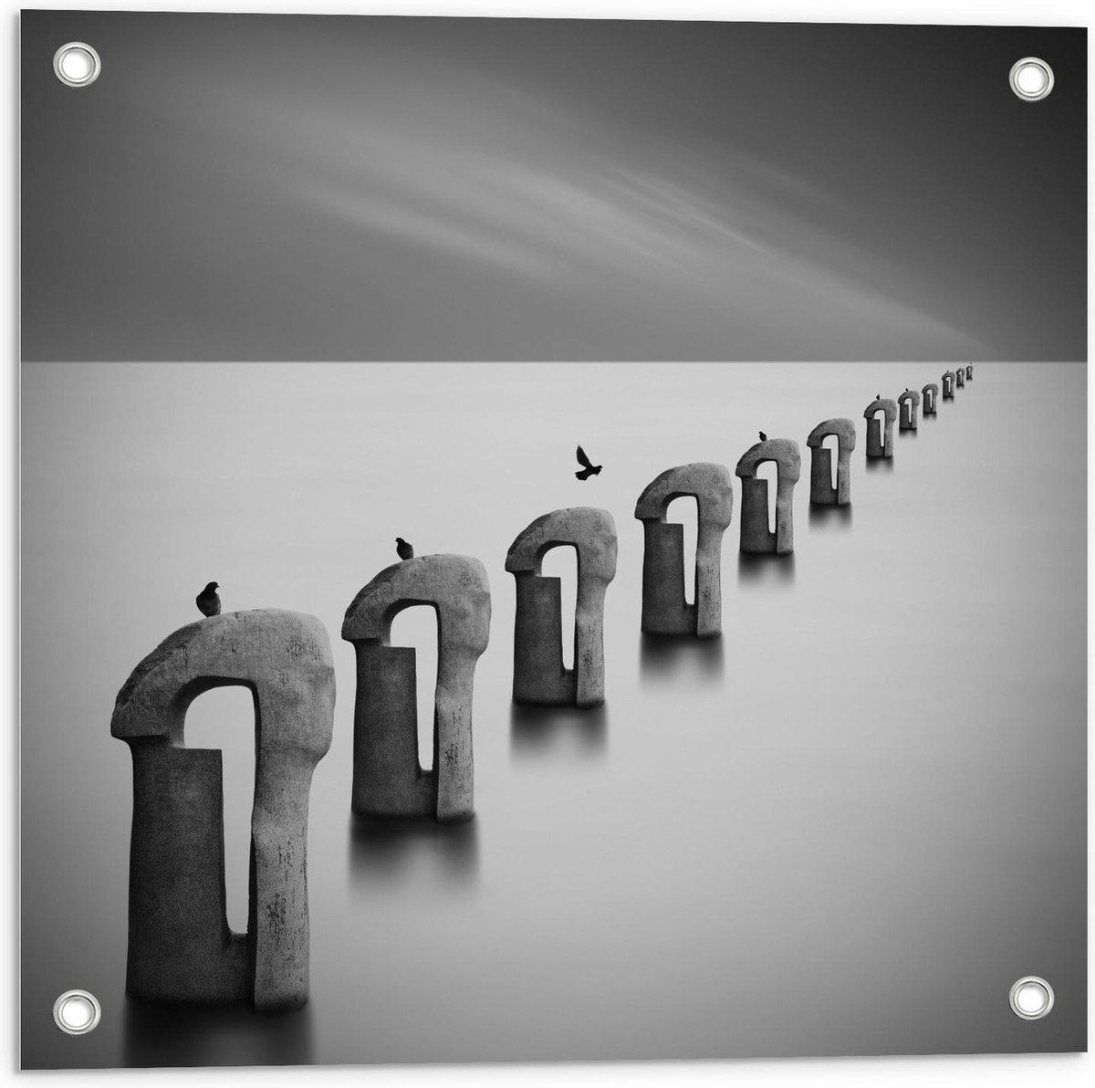 Tuinposter – Vogels op Betonnen Palen ( Zwart Wit ) - 50x50cm Foto op Tuinposter (wanddeco