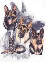Diamond Painting Herders honden 40 x 50 cm