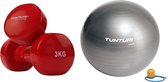 Tunturi - Fitness Set - Vinyl Dumbbell 2 x 3 kg  - Gymball Zilver 55 cm