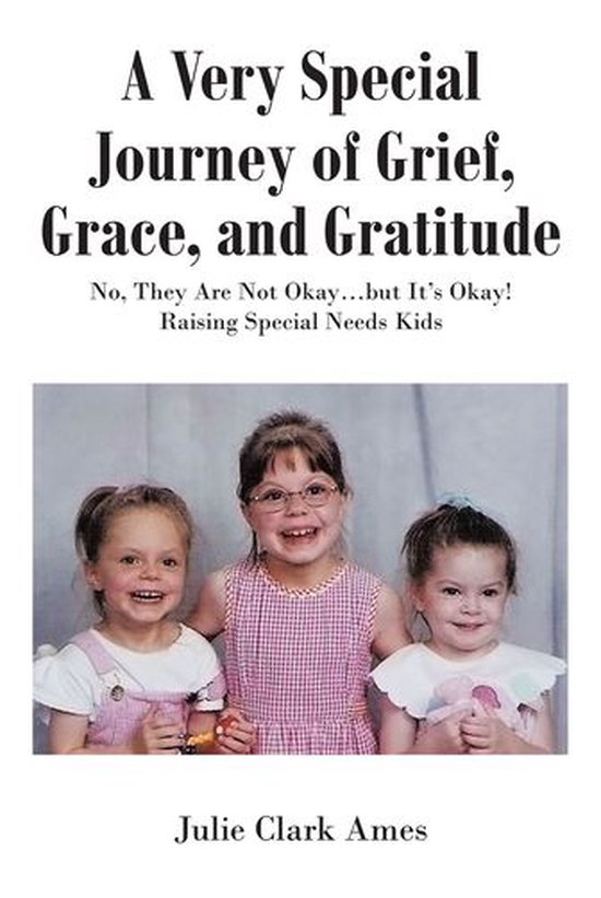 A Very Special Journey of Grief, Grace, and Gratitude - cover
