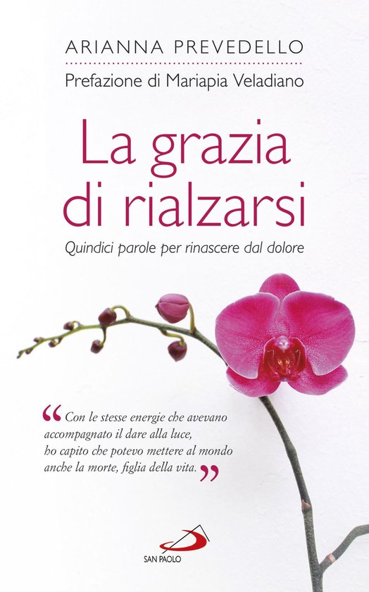 La grazia di rialzarsi - cover