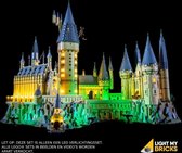 LEGO Hogwarts Castle #71043 Light Kit - Default Title