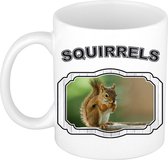Dieren eekhoorn beker - squirrels/ eekhoorns mok wit 300 ml
