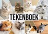 foto van Tekenboek