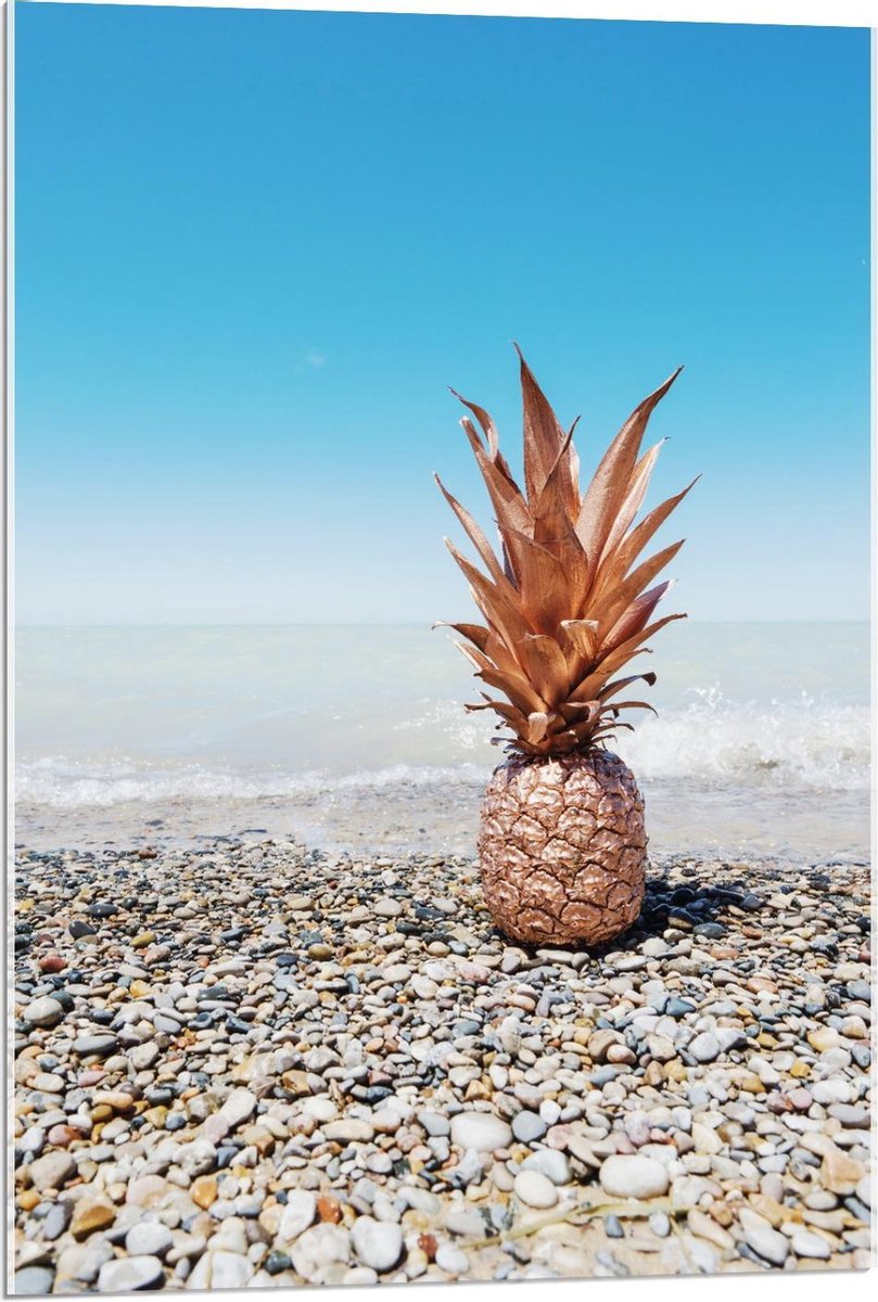 Acrylglas - Gekleurde Ananas op een Mooi Strand - 60x90cm Foto op Acrylglas (Wanddecoratie op Acrylglas)