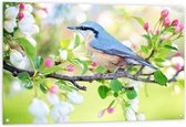 Tuinposter – Blauwe Vogel op Tak - 120x80cm Foto op Tuinposter  (wanddecoratie voor buiten en binnen)