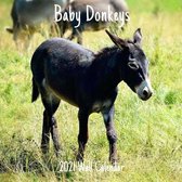 Baby Donkeys 2021 Wall Calendar