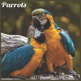 Parrots 2021 Calendar