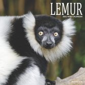 Lemur