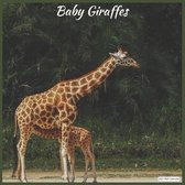 Baby Giraffes 2021 Wall Calendar